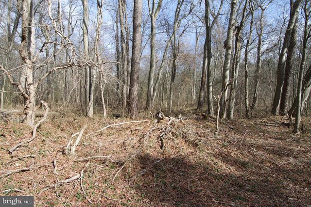 007 LIBERTYTOWN RD, Berlin, MD 21811