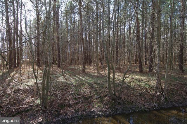 007 LIBERTYTOWN RD, Berlin, MD 21811