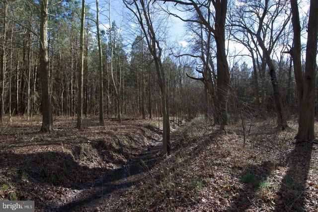 007 LIBERTYTOWN RD, Berlin, MD 21811