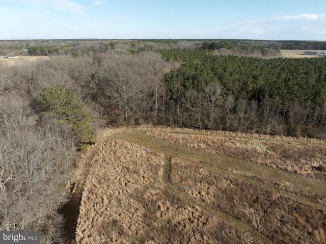 007 LIBERTYTOWN RD, Berlin, MD 21811