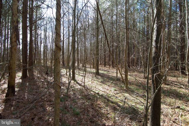 007 LIBERTYTOWN RD, Berlin, MD 21811