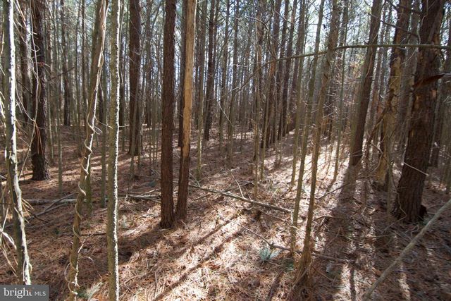007 LIBERTYTOWN RD, Berlin, MD 21811