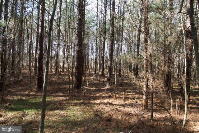 007 LIBERTYTOWN RD, Berlin, MD 21811