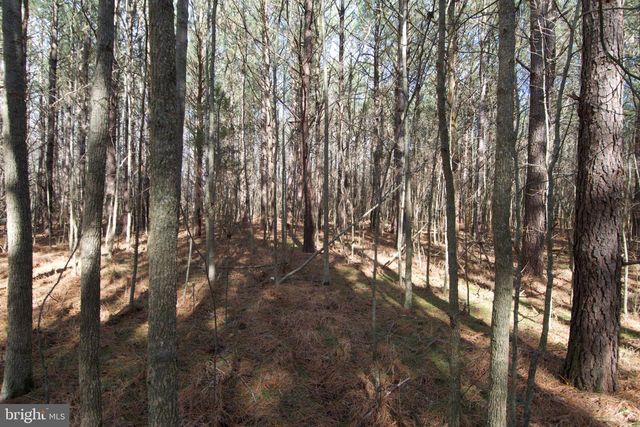 007 LIBERTYTOWN RD, Berlin, MD 21811