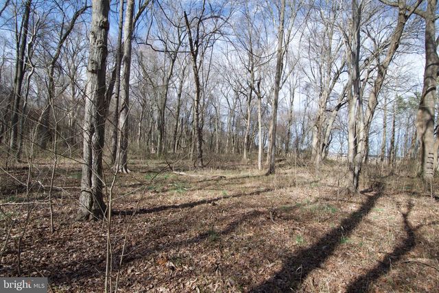 007 LIBERTYTOWN RD, Berlin, MD 21811