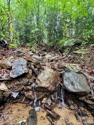 1230 Arborcrest Way, Swannanoa, NC 28778