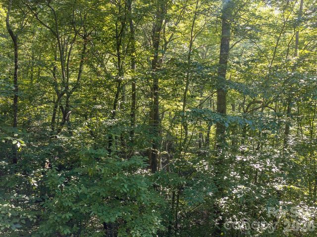 1230 Arborcrest Way, Swannanoa, NC 28778