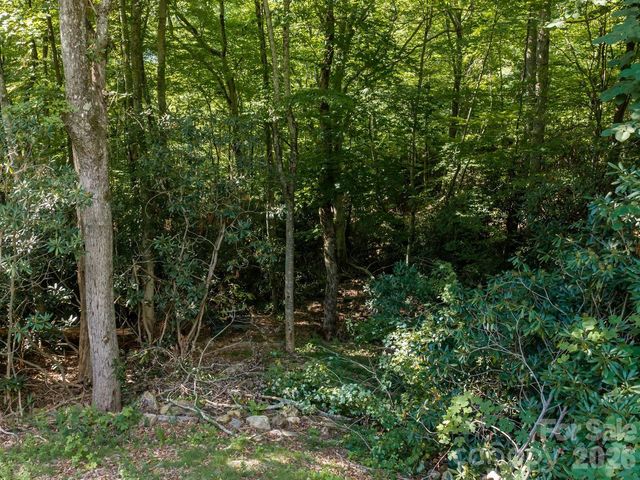 1230 Arborcrest Way, Swannanoa, NC 28778