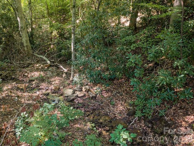 1230 Arborcrest Way, Swannanoa, NC 28778