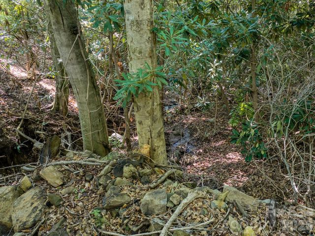 1230 Arborcrest Way, Swannanoa, NC 28778