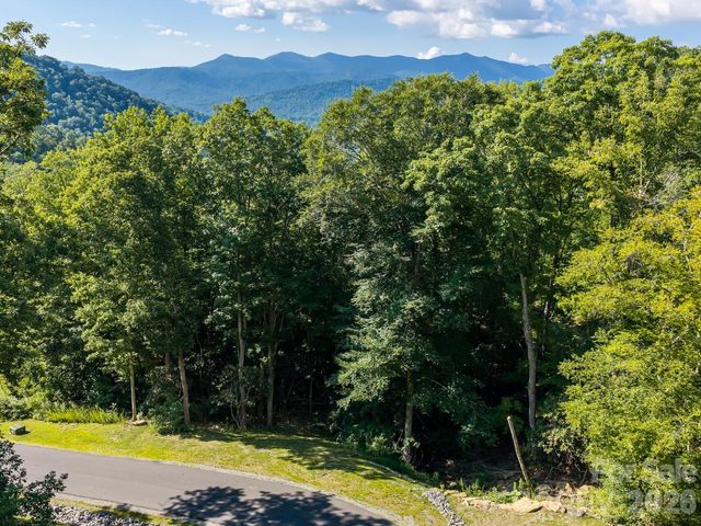 1230 Arborcrest Way, Swannanoa, NC 28778
