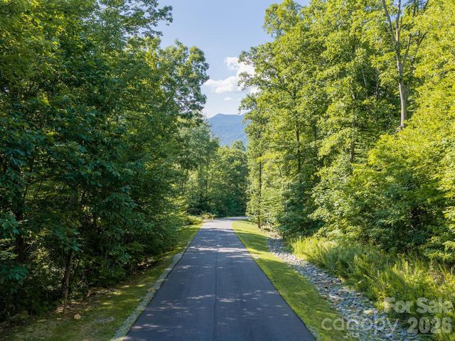1230 Arborcrest Way, Swannanoa, NC 28778