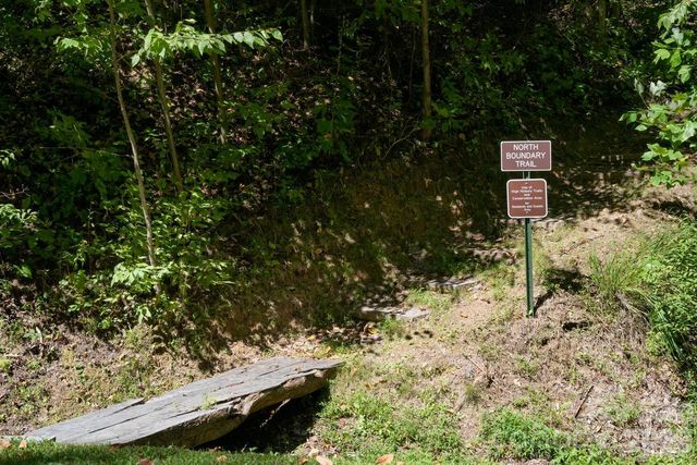 1230 Arborcrest Way, Swannanoa, NC 28778