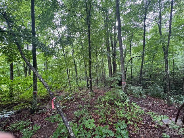 1230 Arborcrest Way, Swannanoa, NC 28778
