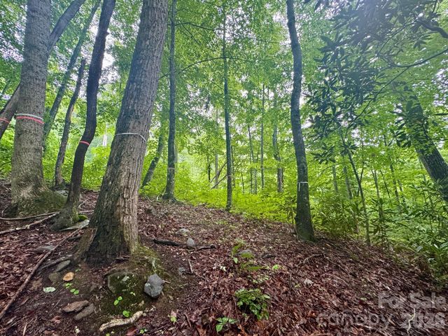 1230 Arborcrest Way, Swannanoa, NC 28778