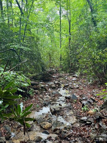 1230 Arborcrest Way, Swannanoa, NC 28778