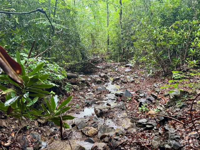 1230 Arborcrest Way, Swannanoa, NC 28778