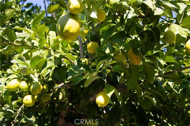 512 Spalding Court, Merced, CA 95348