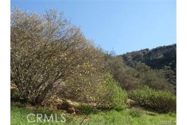 29716 Jackson, Castaic, CA 91384