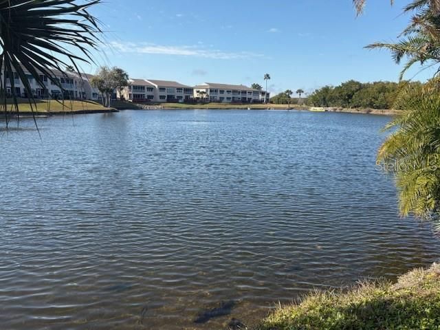 9860 62ND TERRACE N 1048, St Petersburg, FL 33708