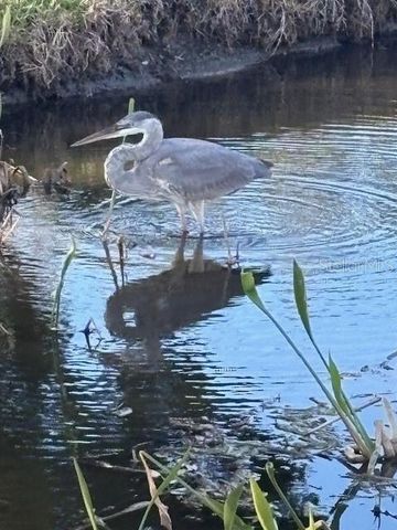 9860 62ND TERRACE N 1048, St Petersburg, FL 33708