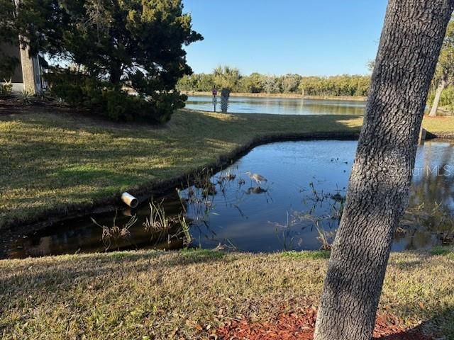 9860 62ND TERRACE N 1048, St Petersburg, FL 33708