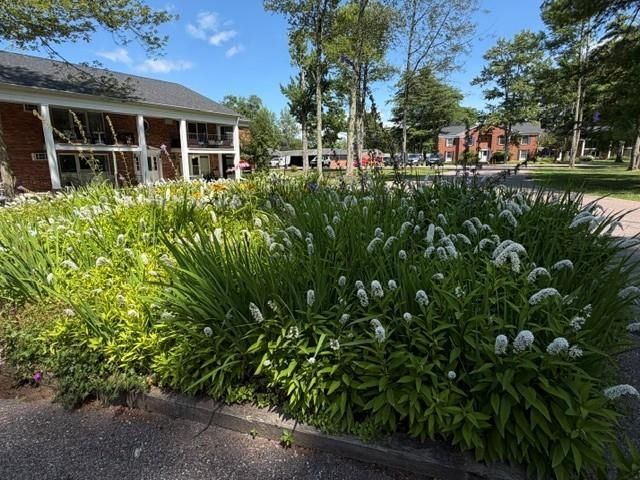 100 Kennedy Dr Apt 4, South Burlington, VT 05403