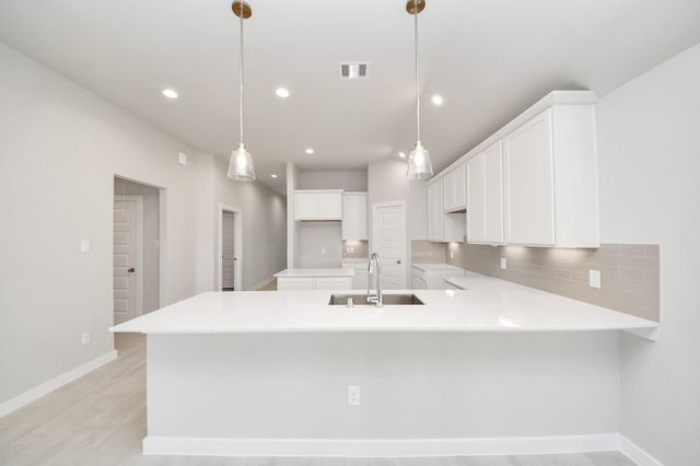 24535 Bradbury Woods Drive, Spring, TX 77373