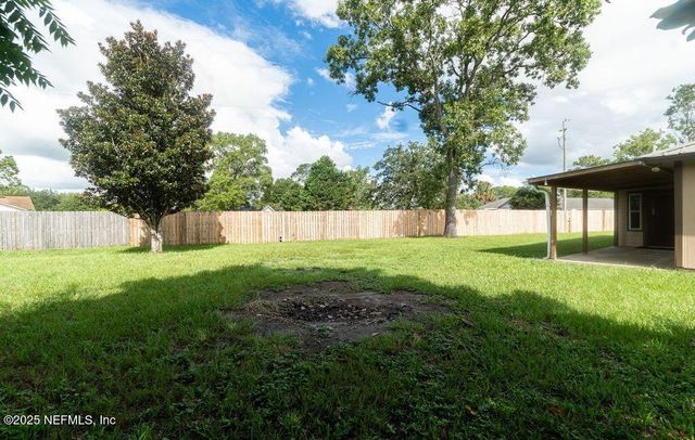 3213 TRISHAS Court, Green Cove Springs, FL 32043