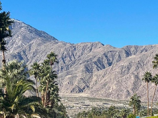 1233 E Via Escuela, Palm Springs, CA 92262