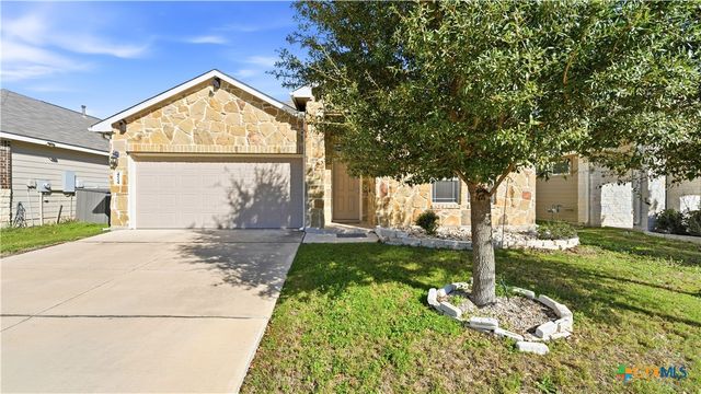 424 Agave Flats Drive, New Braunfels, TX 78130