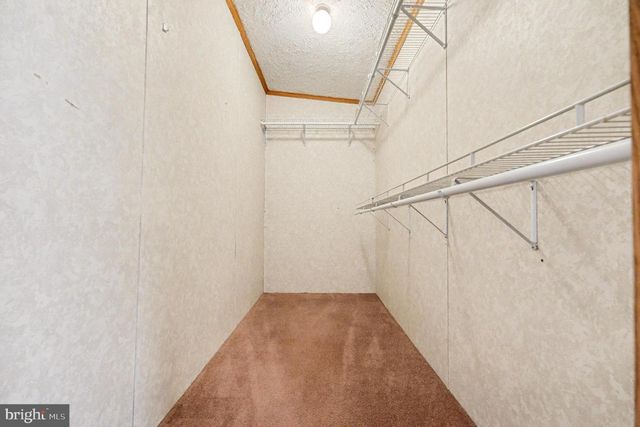 11370 WOODLAND DR, Unionville, VA 22567