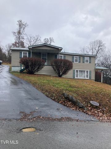 188 Methodist Ridge Road Road, Telford, TN 37690