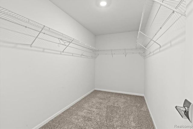 48255 Amber Lane Drive, Shelby Twp, MI 48315