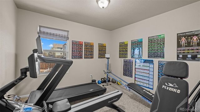 7507 Forest Valley Loop, Colorado Springs, CO 80908