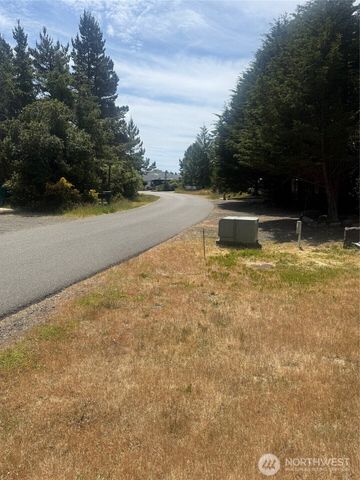 579 Blue Wing Loop SE, Ocean Shores, WA 98569