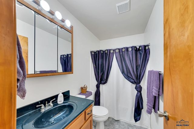 14141 ERICKSON RANCH RD, Piedmont, SD 57769