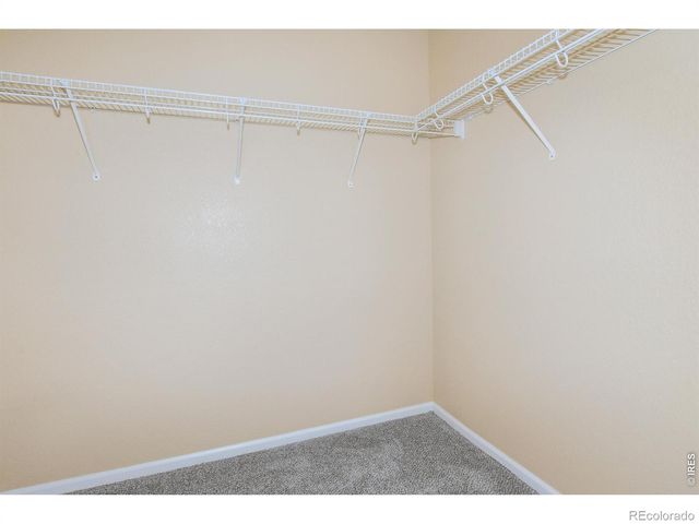 3445 Meadowlark Avenue, Fort Collins, CO 80526