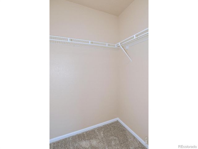 3445 Meadowlark Avenue, Fort Collins, CO 80526