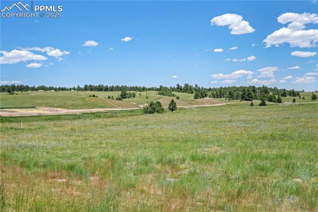 10854 Alamar Way, Colorado Springs, CO 80908 — photo 4