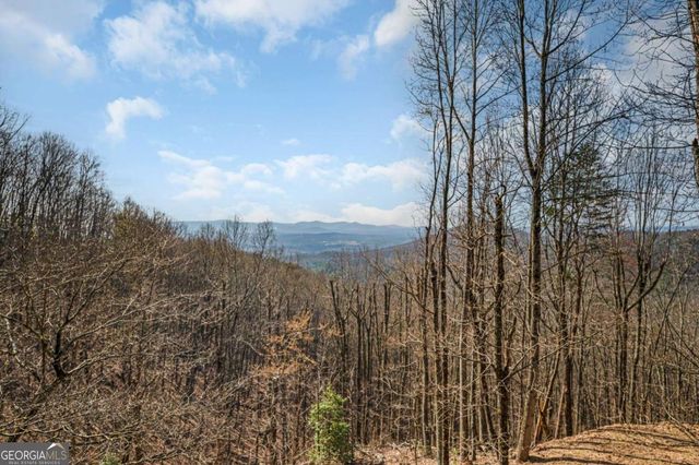 170 Walnut Ridge, Ellijay, GA 30536