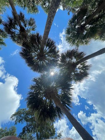 606 N MAYO STREET, Crystal Beach, FL 34681