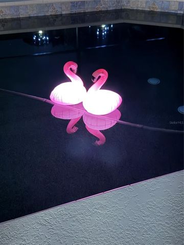 87 OAKWOOD DRIVE, Dunedin, FL 34698