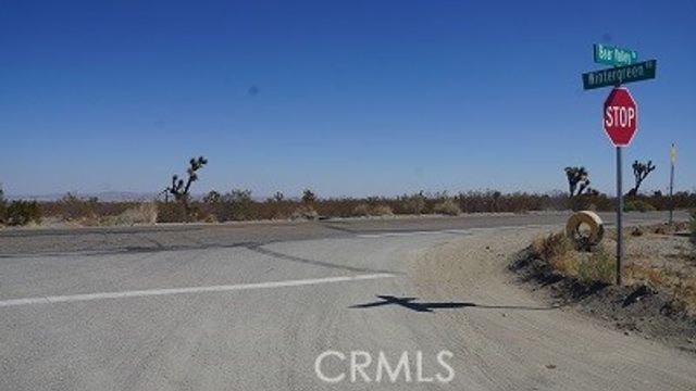 0 BEAR VALLEY Road, Pinon Hills, CA 92372