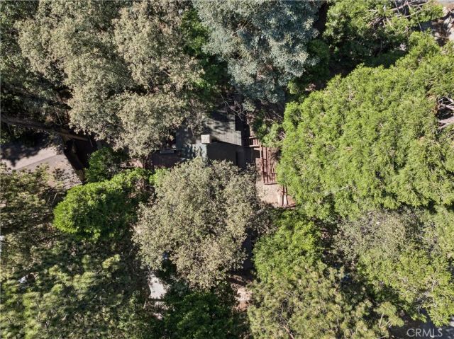 787 Sierra Vista, Twin Peaks, CA 92391
