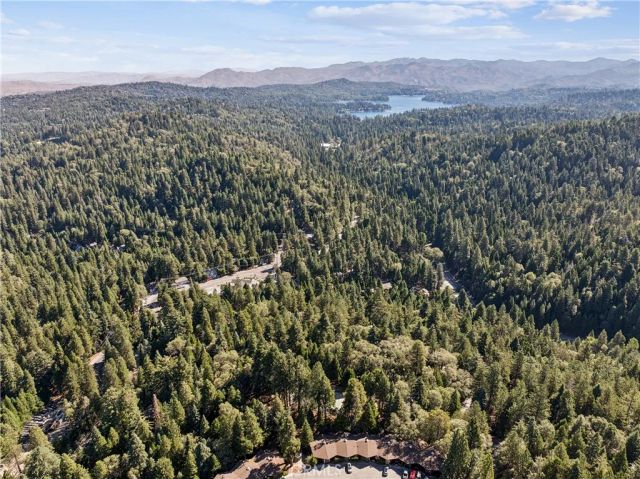 787 Sierra Vista, Twin Peaks, CA 92391