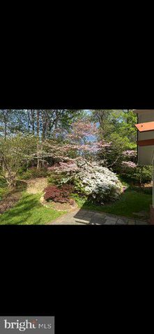 2213 APPLE TREE LN, Silver Spring, MD 20905