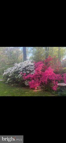 2213 APPLE TREE LN, Silver Spring, MD 20905