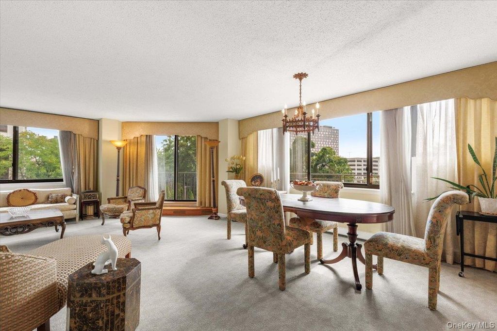 25 Rockledge Avenue 205, White Plains, NY 10601 — photo 4