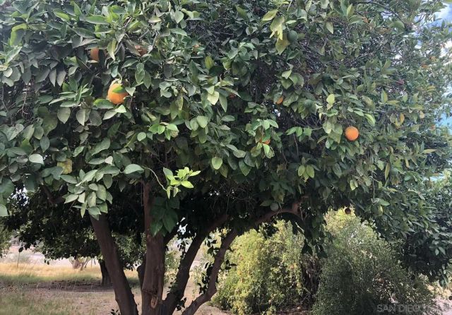 1905 E Heber Rd., Holtville, CA 92250